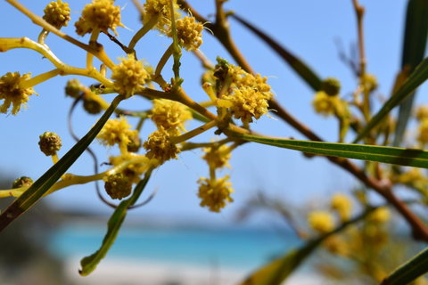 Eagle Bay House - Accommodation Burleigh 12