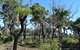 Eagle Bay House - thumb 25
