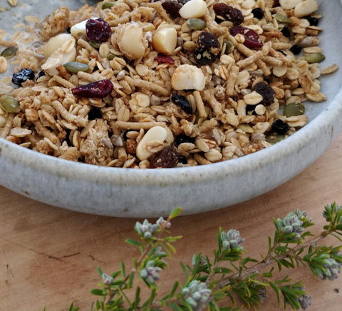 Aplite House - Accommodation Burleigh 24