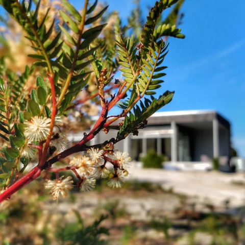 Aplite House - Accommodation Burleigh 36