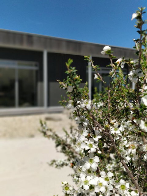 Aplite House - Accommodation Burleigh 7