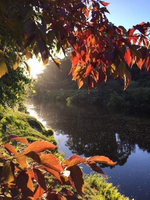 Forth River Cottage - Accommodation Burleigh 4