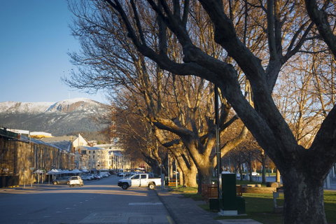 Salamanca Suites - Accommodation Burleigh 10