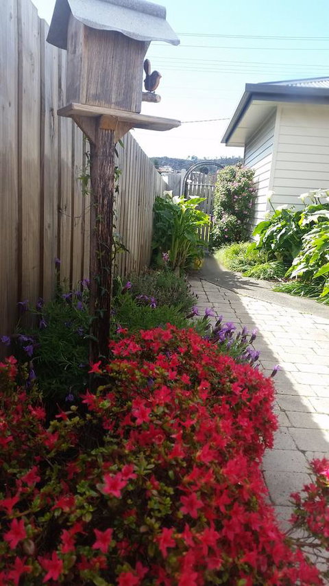 Driftwood-Cottage - Accommodation Burleigh 16