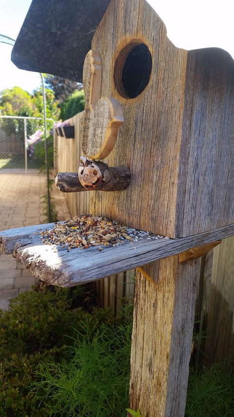 Driftwood-Cottage - Accommodation Burleigh 29