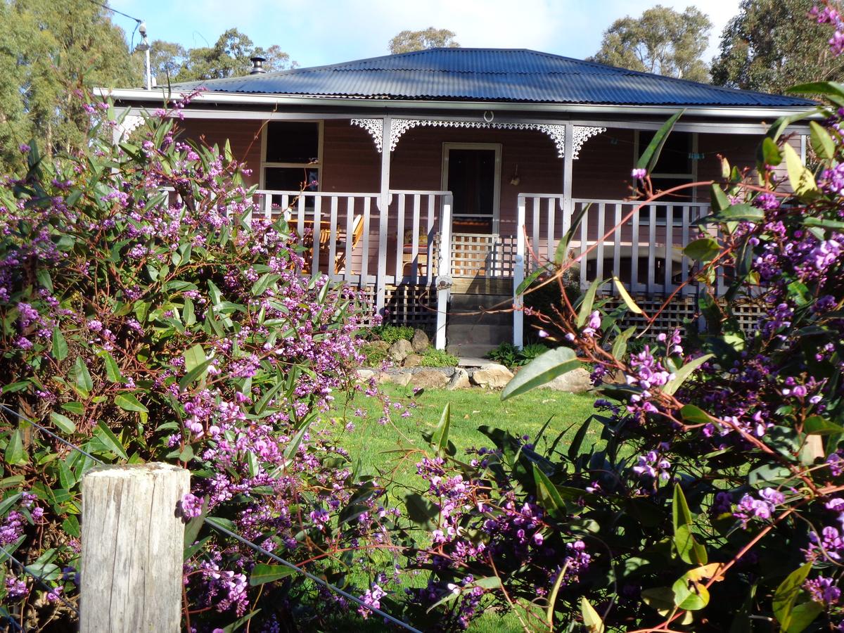 Fentonbury TAS Accommodation Burleigh
