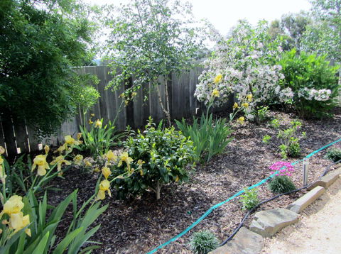 Elm Trees Accommodation @ Ross - Accommodation Burleigh 6