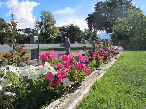 Elm Trees Accommodation @ Ross - Accommodation Burleigh 24