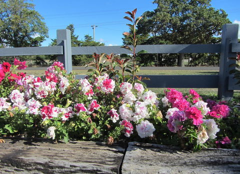 Elm Trees Accommodation @ Ross - Accommodation Burleigh 25