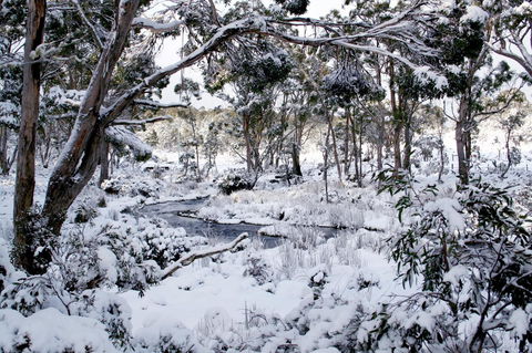 Cradle Mountain Love Shack - Accommodation Burleigh 11