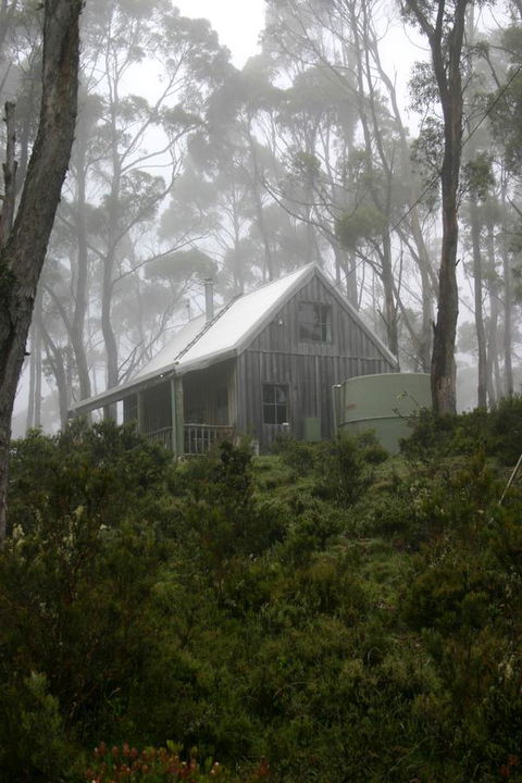 Cradle Mountain Love Shack - Accommodation Burleigh 6