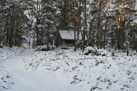 Cradle Mountain Love Shack - Accommodation Burleigh 7