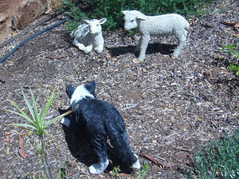 Old Miners' Cottages Bed And Breakfast - Accommodation Burleigh 2