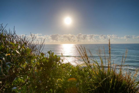 Osprey - Sapphire Beach NSW - Accommodation Burleigh 2