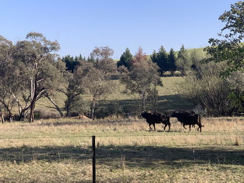 OConnell Retreat BnB - Accommodation Burleigh 1