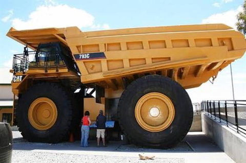 Paddys Golden Patch - Accommodation Burleigh 0