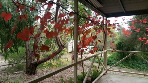 Padthaway Caravan Park - Accommodation Burleigh 1