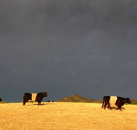 Peppertree Hill - Accommodation Burleigh