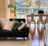 Pet friendly paradise near beach - Accommodation Burleigh