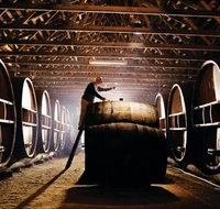 Pieter van Gent Winery  Vineyard - Accommodation Burleigh