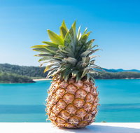 Pineapple House Whitsundays - Accommodation Burleigh