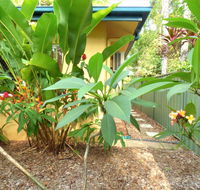 Rainforest Cottage Cairns - Accommodation Burleigh