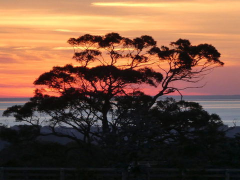 Red Hill Ridge - Accommodation Burleigh 1