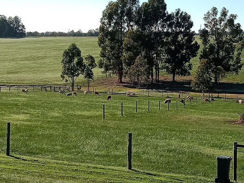 Redtail Ridge Cottages - Accommodation Burleigh 1