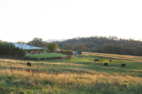 Rosby Guesthouse And Studio - Accommodation Burleigh 0