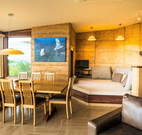 Sheoaks - Accommodation Burleigh