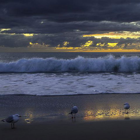 Surfers Horizons - Accommodation Burleigh 3