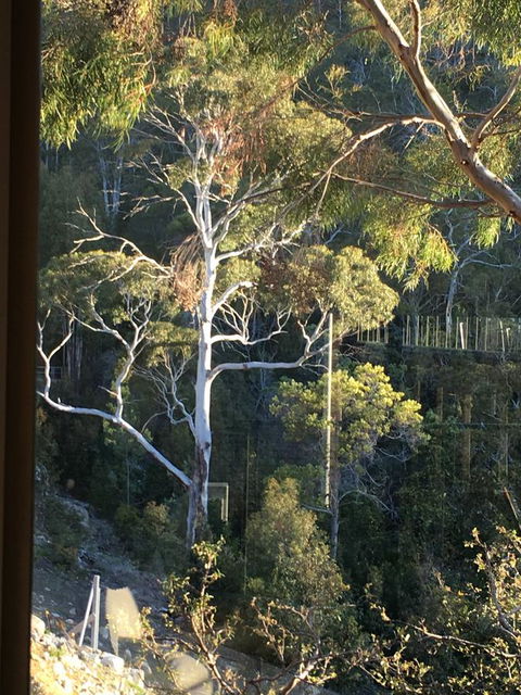 The Lookout - Accommodation Burleigh 22