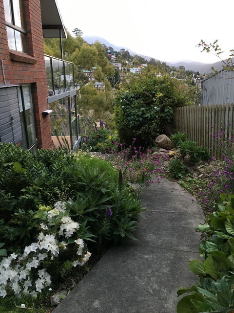 The Lookout - Accommodation Burleigh 23