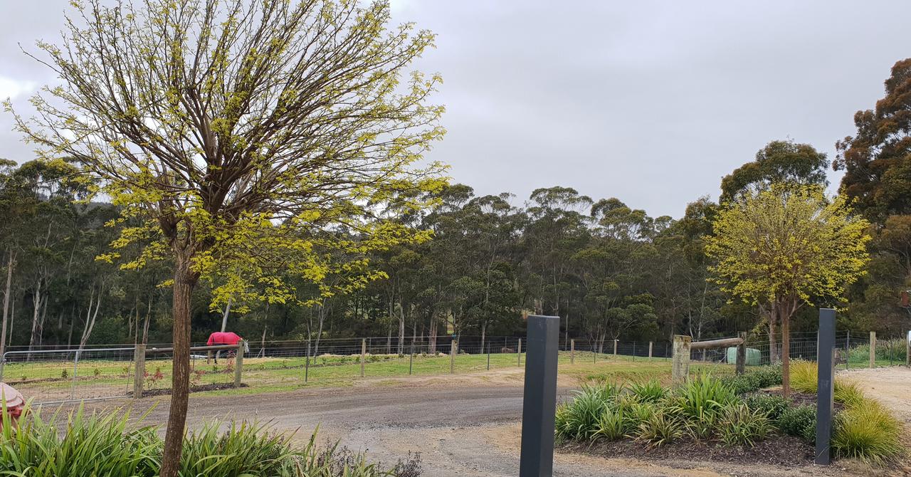  Accommodation Burleigh