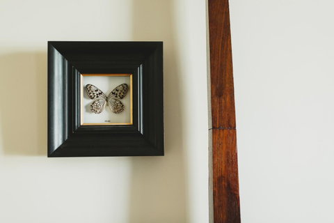 Grand Old Duke - Accommodation Burleigh 22
