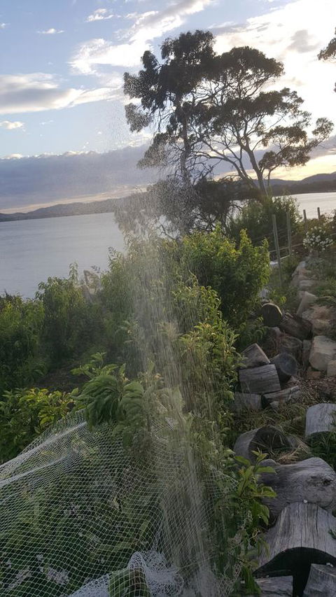 AppleBay Guest House - Accommodation Burleigh 21