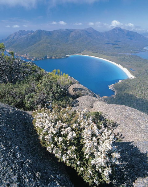 Freycinet Lodge - Accommodation Burleigh 41