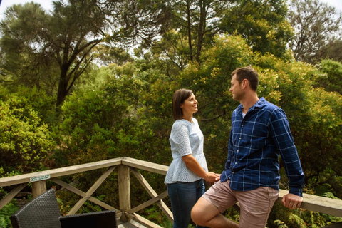 Freycinet Lodge - Accommodation Burleigh 42