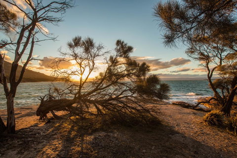 Freycinet Lodge - Accommodation Burleigh 44