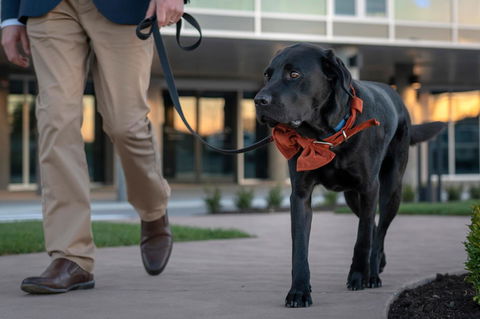 Peppers Silo - Accommodation Burleigh 44
