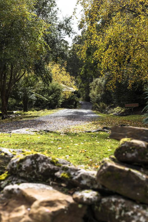 Cradle Forest Inn - Accommodation Burleigh 34