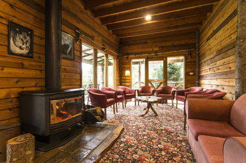 Cradle Forest Inn - Accommodation Burleigh 1