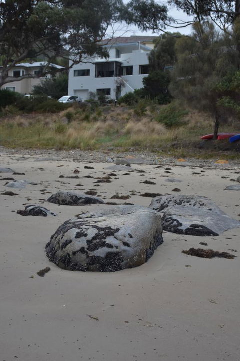 Beachside Taroona With Spa - Accommodation Burleigh 21