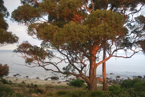 Beachside Taroona With Spa - Accommodation Burleigh 18