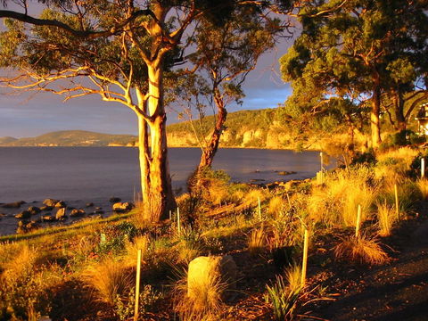 Beachside Taroona With Spa - Accommodation Burleigh 19