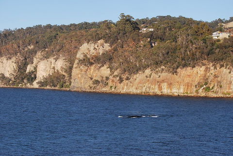 Beachside Taroona With Spa - Accommodation Burleigh 29
