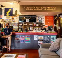 The Pickled Frog - Accommodation Burleigh