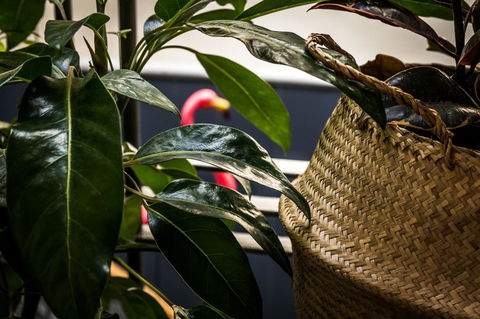 Alabama Hotel Hobart - Accommodation Burleigh 25