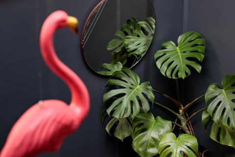 Alabama Hotel Hobart - Accommodation Burleigh 15