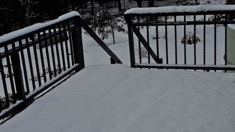 Cradle Alpine Retreat - Accommodation Burleigh 34